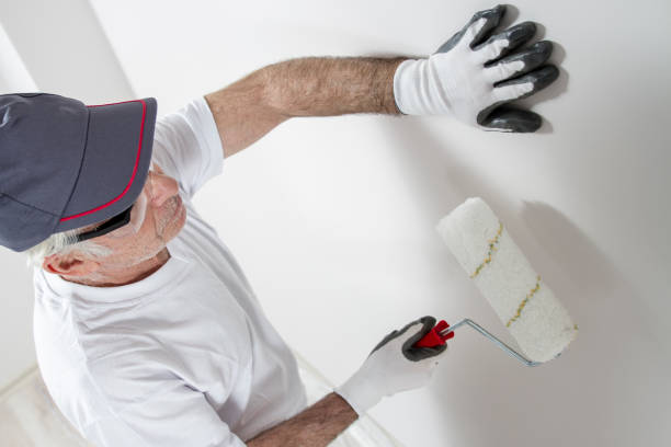 Dehumidification Services in Campton Hills, IL